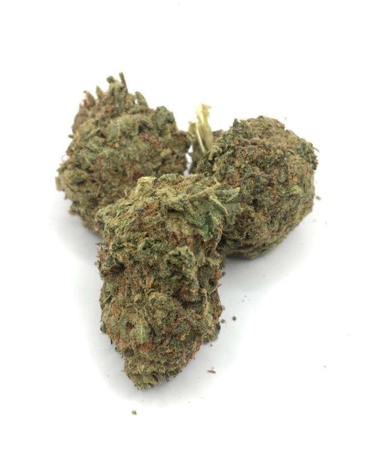 Gas Grass HFX, Cannabis, CBD, Flowers, Strains, Concentrates, Cigars, Mushrooms, Capsules, Edibles, Candies, Gummies, Accessories, Weekly Specials, Indica, Hybrid,  Premium buds, Luxury Buds,  Cheap Oz, Half Oz, Hemp, Medical, Oz, Happy, Relaxing, Energy, Fresh