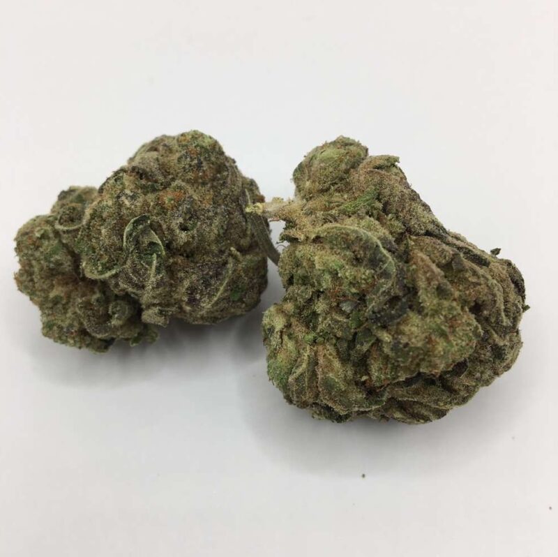 Gas Grass HFX, Cannabis, CBD, Flowers, Strains, Concentrates, Cigars, Mushrooms, Capsules, Edibles, Candies, Gummies, Accessories, Weekly Specials, Indica, Hybrid,  Premium buds, Luxury Buds,  Cheap Oz, Half Oz, Hemp, Medical, Oz, Happy, Relaxing, Energy, Fresh