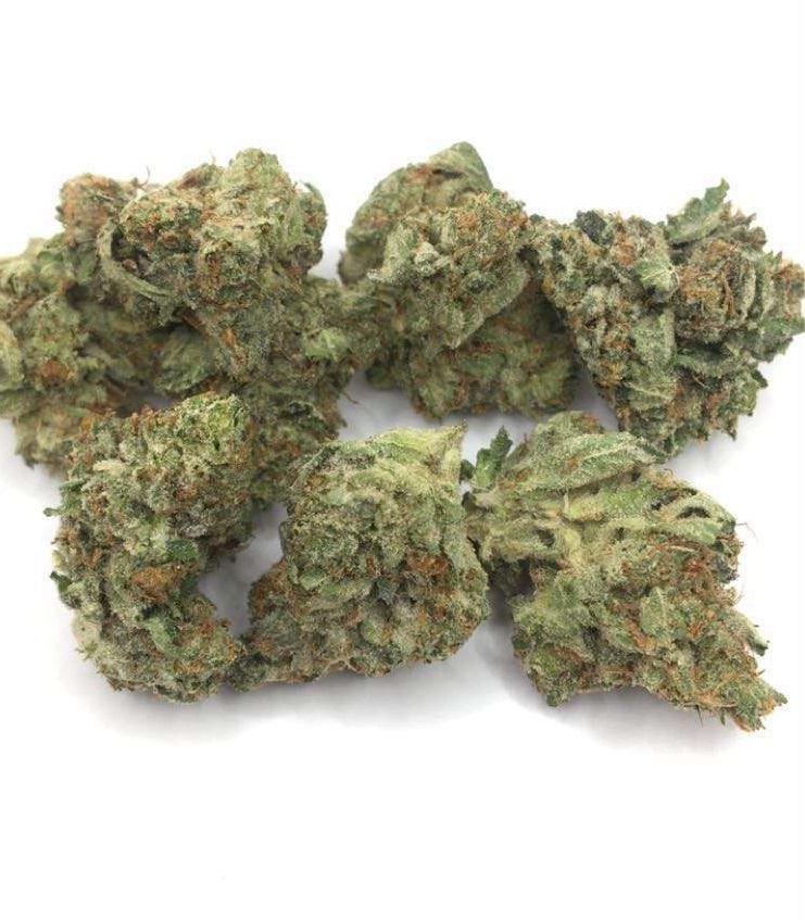 Gas Grass HFX, Cannabis, CBD, Flowers, Strains, Concentrates, Cigars, Mushrooms, Capsules, Edibles, Candies, Gummies, Accessories, Weekly Specials, Indica, Hybrid,  Premium buds, Luxury Buds,  Cheap Oz, Half Oz, Hemp, Medical, Oz, Happy, Relaxing, Energy, Fresh