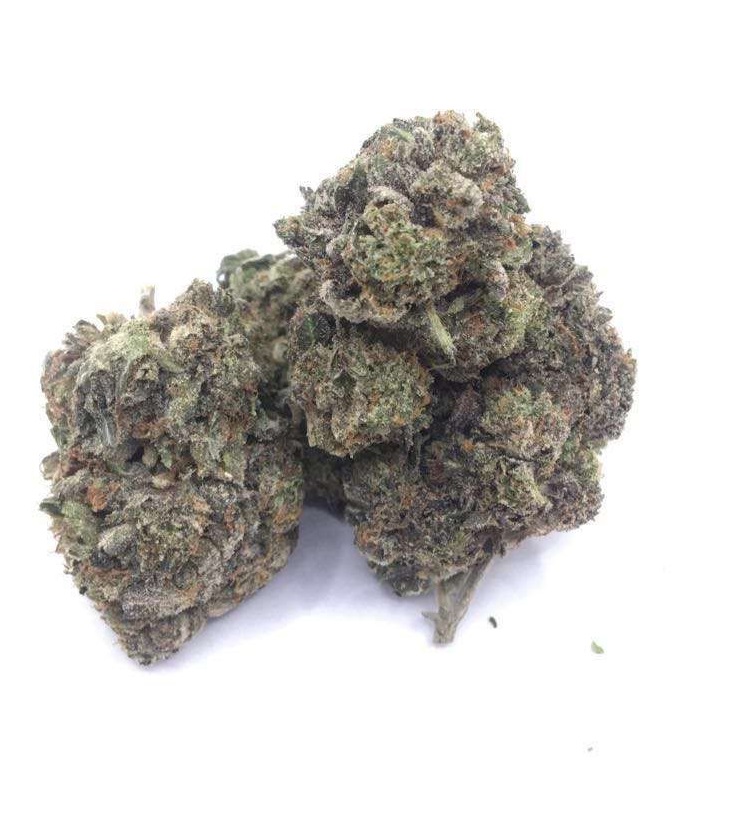 Gas Grass HFX, Cannabis, CBD, Flowers, Strains, Concentrates, Cigars, Mushrooms, Capsules, Edibles, Candies, Gummies, Accessories, Weekly Specials, Indica, Hybrid,  Premium buds, Luxury Buds,  Cheap Oz, Half Oz, Hemp, Medical, Oz, Happy, Relaxing, Energy, Fresh