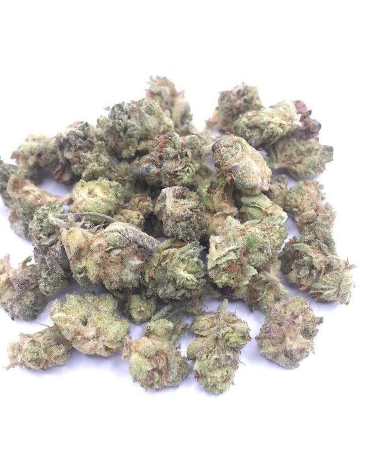 Gas Grass HFX, Cannabis, CBD, Flowers, Strains, Concentrates, Cigars, Mushrooms, Capsules, Edibles, Candies, Gummies, Accessories, Weekly Specials, Indica, Hybrid,  Premium buds, Luxury Buds,  Cheap Oz, Half Oz, Hemp, Medical, Oz, Happy, Relaxing, Energy, Fresh