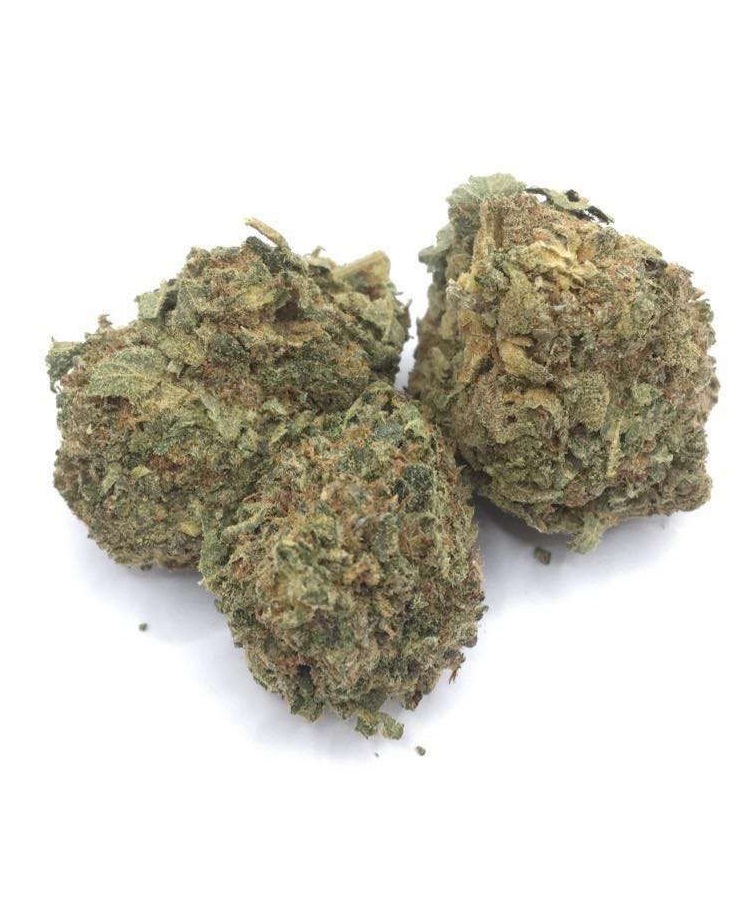 Gas Grass HFX, Cannabis, CBD, Flowers, Strains, Concentrates, Cigars, Mushrooms, Capsules, Edibles, Candies, Gummies, Accessories, Weekly Specials, Indica, Hybrid,  Premium buds, Luxury Buds,  Cheap Oz, Half Oz, Hemp, Medical, Oz, Happy, Relaxing, Energy, Fresh