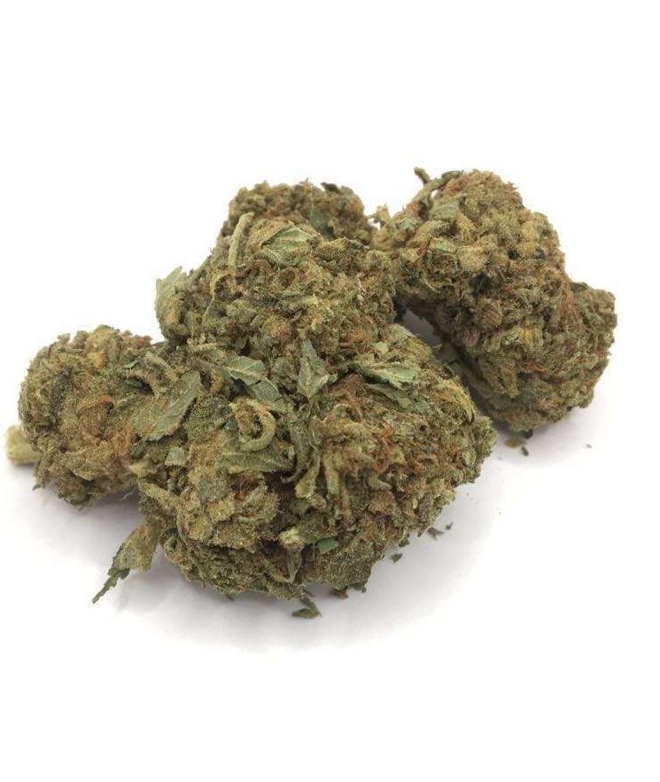 Gas Grass HFX, Cannabis, CBD, Flowers, Strains, Concentrates, Cigars, Mushrooms, Capsules, Edibles, Candies, Gummies, Accessories, Weekly Specials, Indica, Hybrid,  Premium buds, Luxury Buds,  Cheap Oz, Half Oz, Hemp, Medical, Oz, Happy, Relaxing, Energy, Fresh