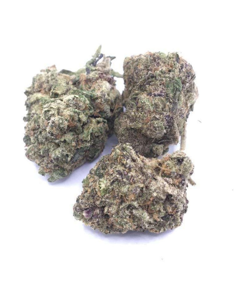 Gas Grass HFX, Cannabis, CBD, Flowers, Strains, Concentrates, Cigars, Mushrooms, Capsules, Edibles, Candies, Gummies, Accessories, Weekly Specials, Indica, Hybrid,  Premium buds, Luxury Buds,  Cheap Oz, Half Oz, Hemp, Medical, Oz, Happy, Relaxing, Energy, Fresh