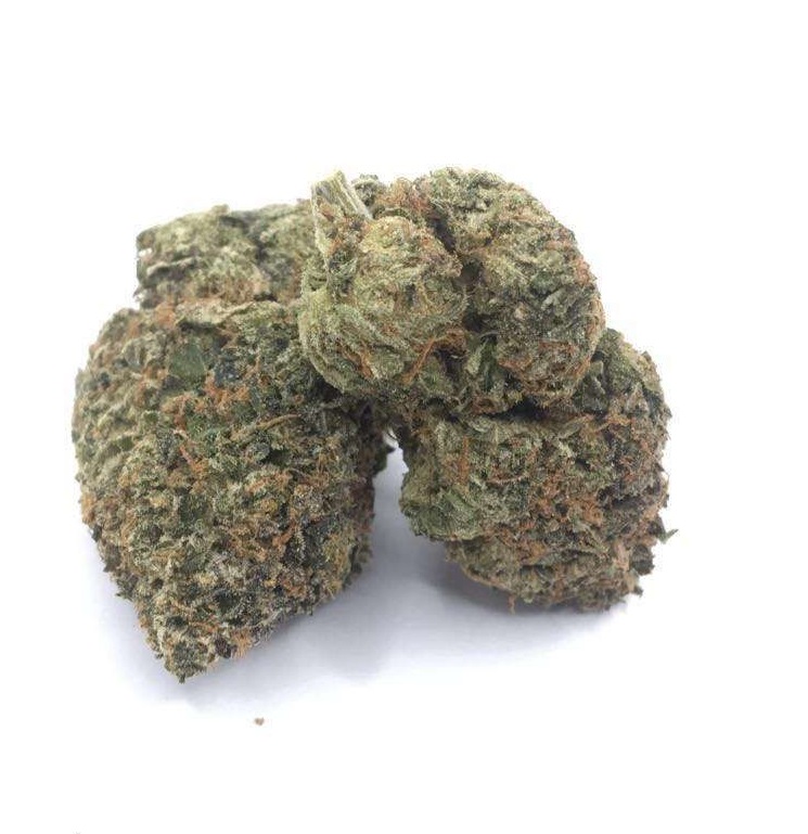 Gas Grass HFX, Cannabis, CBD, Flowers, Strains, Concentrates, Cigars, Mushrooms, Capsules, Edibles, Candies, Gummies, Accessories, Weekly Specials, Indica, Hybrid,  Premium buds, Luxury Buds,  Cheap Oz, Half Oz, Hemp, Medical, Oz, Happy, Relaxing, Energy, Fresh