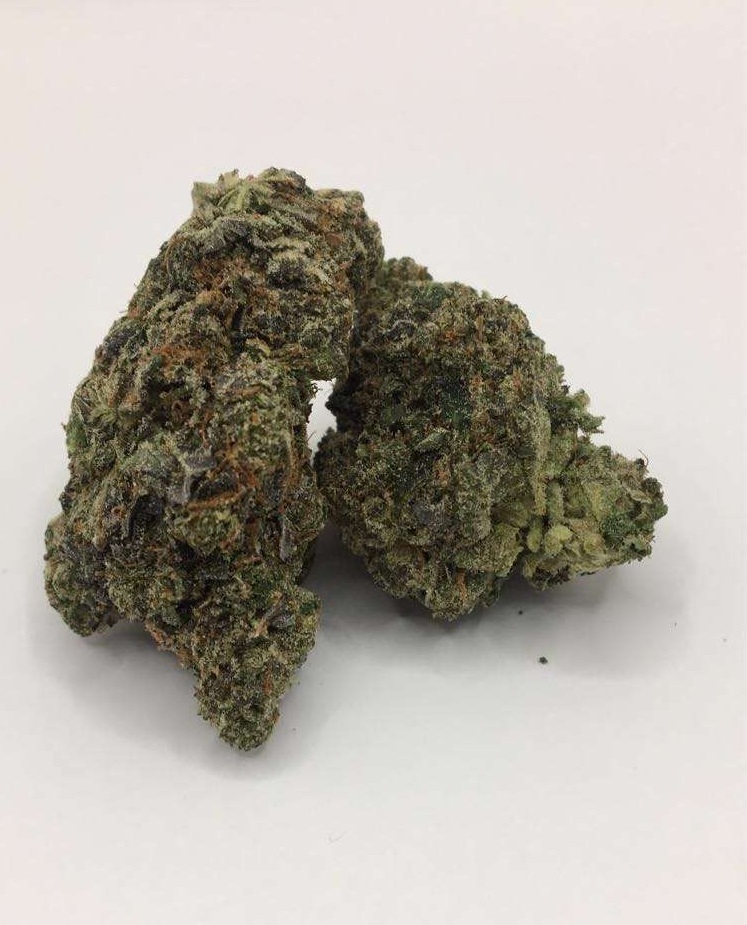 Gas Grass HFX, Cannabis, CBD, Flowers, Strains, Concentrates, Cigars, Mushrooms, Capsules, Edibles, Candies, Gummies, Accessories, Weekly Specials, Indica, Hybrid,  Premium buds, Luxury Buds,  Cheap Oz, Half Oz, Hemp, Medical, Oz, Happy, Relaxing, Energy, Fresh