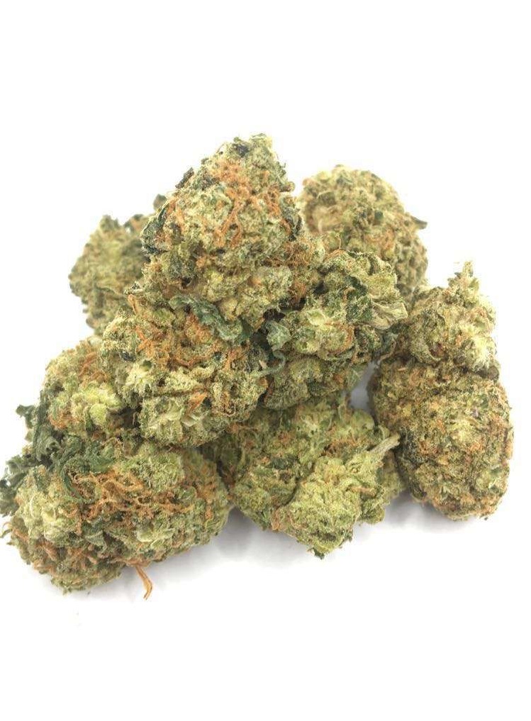 Gas Grass HFX, Cannabis, CBD, Flowers, Strains, Concentrates, Cigars, Mushrooms, Capsules, Edibles, Candies, Gummies, Accessories, Weekly Specials, Indica, Hybrid,  Premium buds, Luxury Buds,  Cheap Oz, Half Oz, Hemp, Medical, Oz, Happy, Relaxing, Energy, Fresh