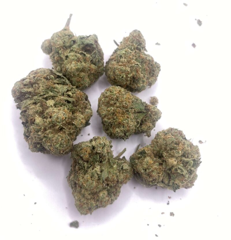 Gas Grass HFX, Cannabis, CBD, Flowers, Strains, Concentrates, Cigars, Mushrooms, Capsules, Edibles, Candies, Gummies, Accessories, Weekly Specials, Indica, Hybrid,  Premium buds, Luxury Buds,  Cheap Oz, Half Oz, Hemp, Medical, Oz, Happy, Relaxing, Energy, Fresh