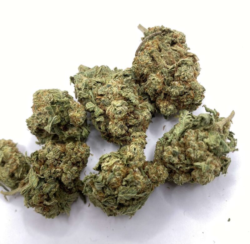 Gas Grass HFX, Cannabis, CBD, Flowers, Strains, Concentrates, Cigars, Mushrooms, Capsules, Edibles, Candies, Gummies, Accessories, Weekly Specials, Indica, Hybrid,  Premium buds, Luxury Buds,  Cheap Oz, Half Oz, Hemp, Medical, Oz, Happy, Relaxing, Energy, Fresh